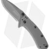 Kershaw Cryo Assisted Opening Knife (2.75" Gray) 1555TI