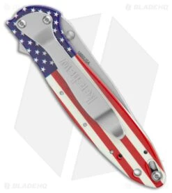 Kershaw Leek Assisted Opening Knife USA Flag (3" Bead Blast) 1660USA -Sharp Edge Knife Shop Kershaw Leek Assisted Opening Knife USA Flag Bead Blast BHQ 209736 kr side large