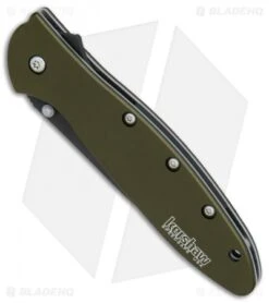 Kershaw Leek Assisted Opening Knife OD Green (3" Black ) 1660OLBLK -Sharp Edge Knife Shop Kershaw Leek OD Green black BHQ 79637 er spine