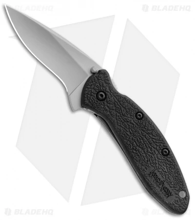 Kershaw Scallion Assisted Opening Knife Black GRN (2.25" Bead Blast) 1620 1 Kershaw Scallion Assisted Opening Knife Black GRN (2.25" Bead Blast) 1620