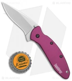Kershaw Scallion Assisted Opening Knife Purple (2.25" Bead Blast) 1620PUR 7 Kershaw Scallion Assisted Opening Knife Purple (2.25" Bead Blast) 1620PUR -Sharp Edge Knife Shop Kershaw Scallion purple bb BHQ 14804 er bottlecap