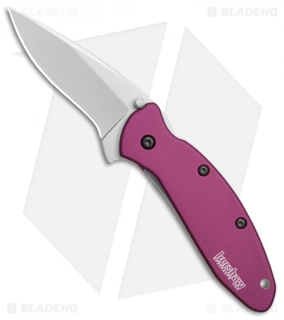 Kershaw Scallion Assisted Opening Knife Purple (2.25" Bead Blast) 1620PUR 1 Kershaw Scallion Assisted Opening Knife Purple (2.25" Bead Blast) 1620PUR
