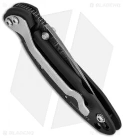 Kershaw Chive Assisted Opening Knife Black (1.94" Damascus) 1600DAMBK -Sharp Edge Knife Shop kershaw black damascus plain 1600damckt chive side